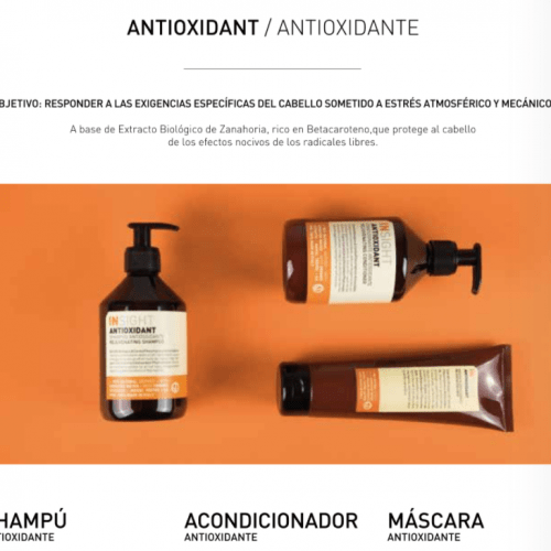 INSIGHT ANTIOXIDANT